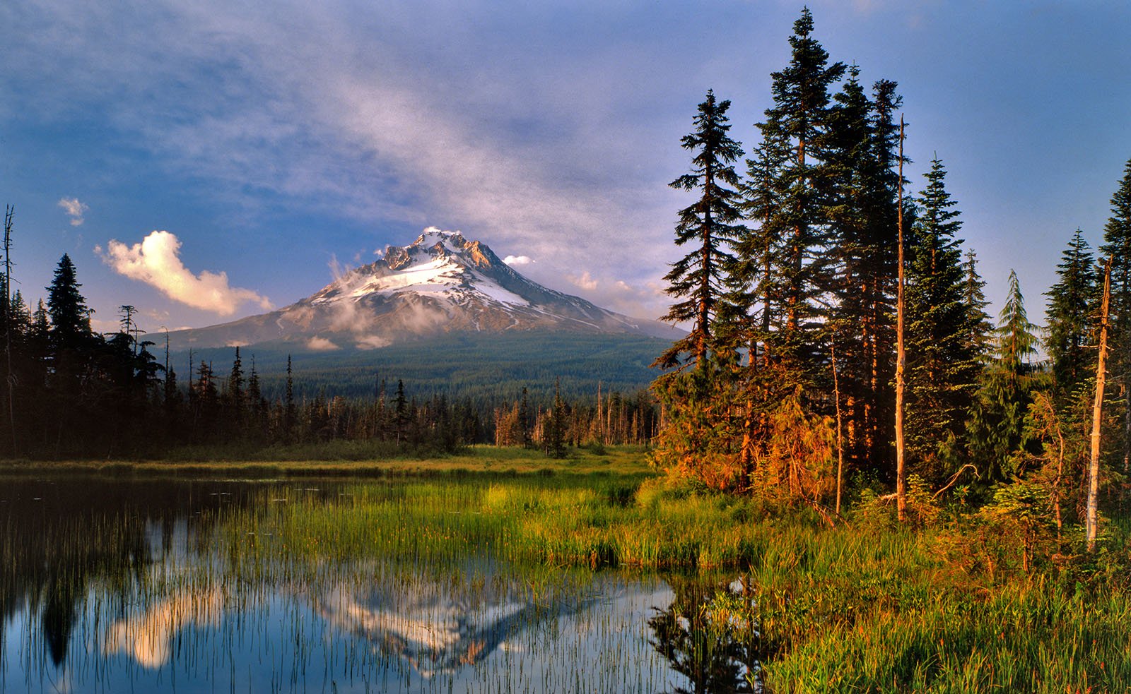 Logging Threatens Fens on White River National Forest: A Call for Conservation