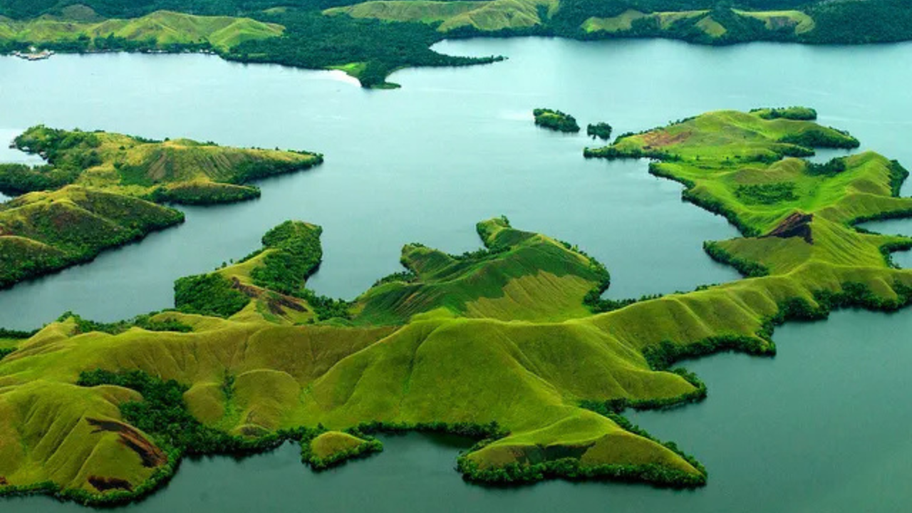 The Return of REDD+ Signals Good News from Bonn: A Renewed Hope for Forest Conservation