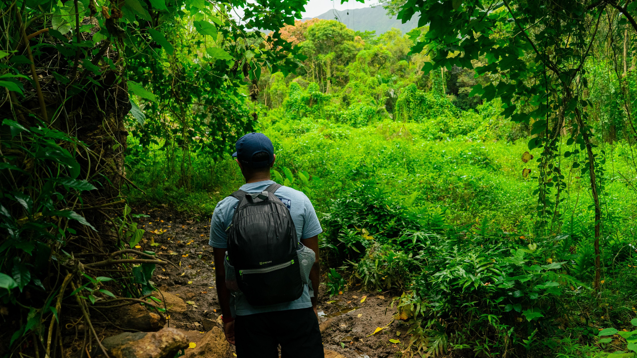 FT Fellows: Helping Forest Trends Stay Global and Nimble Since 2000