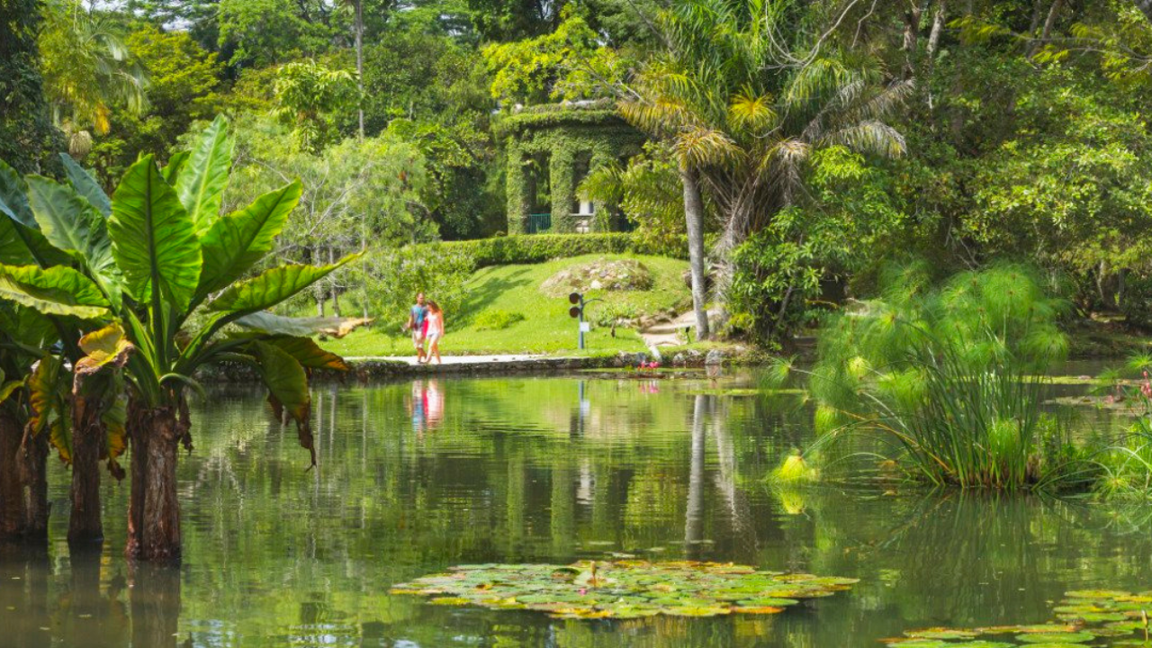 The Legal Structure for Biodiversity Benefits-Sharing Already Exists in Brazil: Here’s How It Can Serve Communities